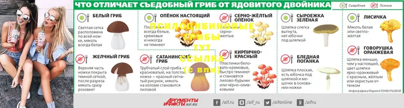 купить наркотик  Кола  Псилоцибиновые грибы ЛСД 